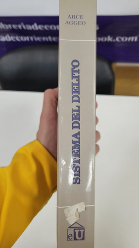 Sistema Del Delito - Miguel Angel Arce Aggeo