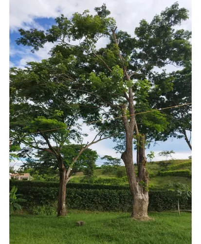 Venta De Finca En Sopetran