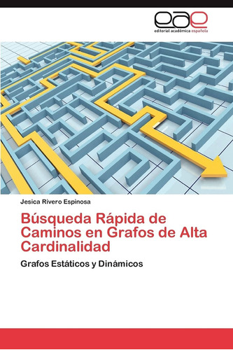 Libro: Búsqueda Rápida De Caminos En Grafos De Alta Cardinal