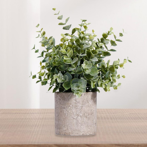 Vegetación De Plantas En Macetas Falsas Estilo C