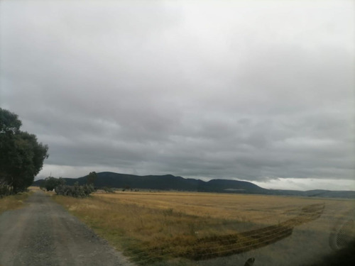 Terreno En Venta De 200,000 M2, Tolcayuca, Hidalgo