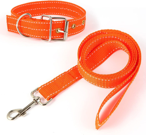 Correa De Nailon Resistente Para Entrenamiento De Perros Gra