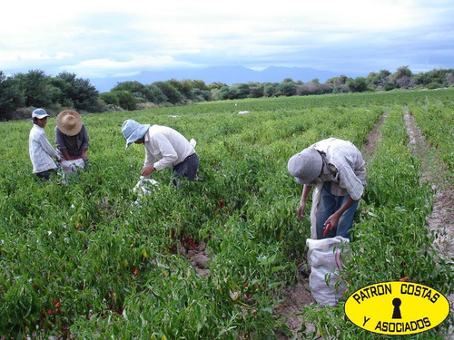 2071hp 100 Has Finca C/riego Y Hosteria. Valles Calchaquies