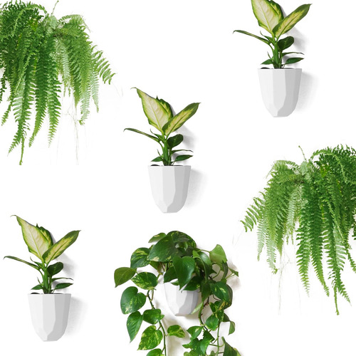Macetas Virgo Geométricas Para Pared, Juego De 6