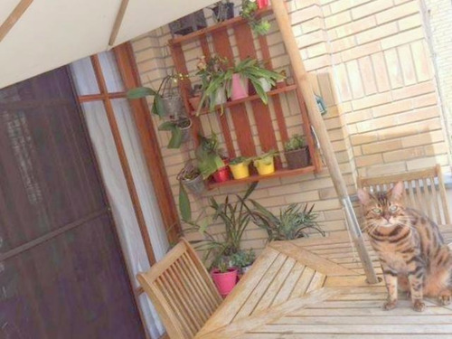 Imagem 2 de 10 de Casa Em Condomínio De 3 Dormitórios - 4364