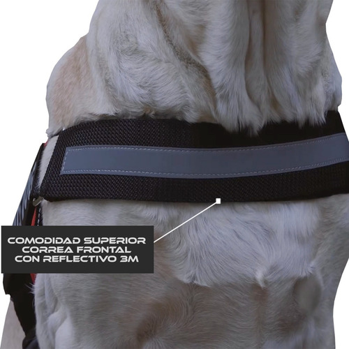 Imagen 3 de 7 de Super Combo / Cama Para Perros M + Pechera S + Paseador