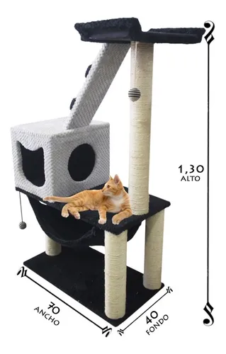Gimnasio gatos hot sale