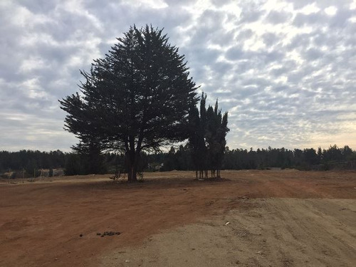 Terreno Construccion  En Venta En Viña Del Mar