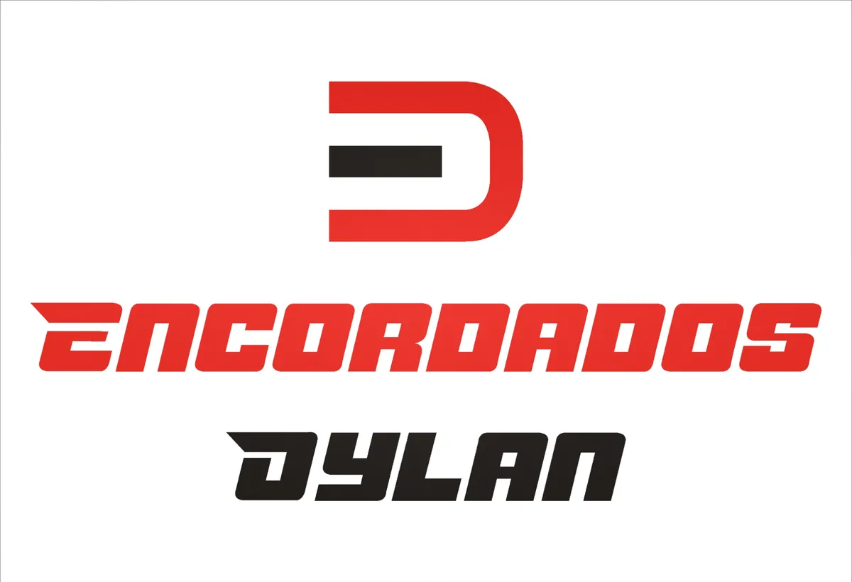 ENCORDADOS DYLAN