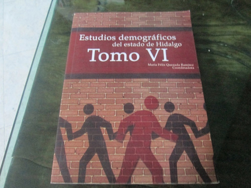Libro Estudios Demográficos Del Estado De Hidalgo. Tomo Iv.