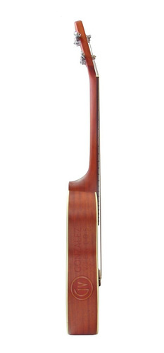 Imagen 3 de 9 de Ukelele Baritono Stagg Ub70-s + Funda + Metodo