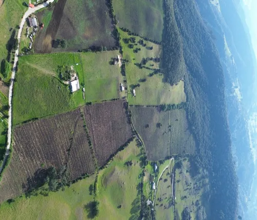 ¡espectacular Finca En Sibaté! 14 Fanegadas. Vía Pavimentada