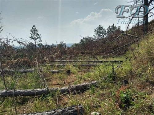 Imagem 4 de 8 de Terrenos À Venda Em Atibaia/sp - Compre O Seu Terrenos Aqui! - 1484059