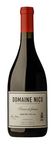 Vino Domaine Nico Parcela Grand Mère Pinot Noir 750 Ml 2021