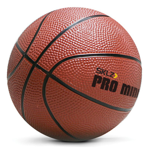 Aro De Baloncesto Mini Profesional