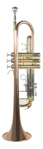 Wesner Str1100-g Trompeta Laqueado Dorado Con Estuche Suave