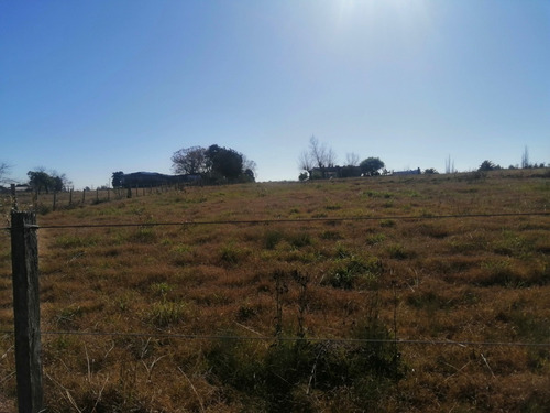 Imagen 10 de 12 de Chacra 1.5 Hectarea En Venta - 75 Metros De Frente A La Ruta 102 Km 38.500
