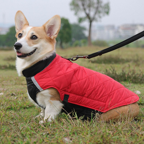 (g-2xl) Chaleco Reflectante Para Perros Con Anillo En D Para