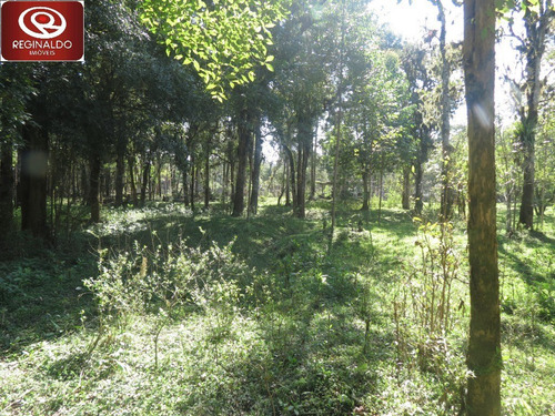 Chácara Para Venda - 1316070