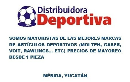 Imagen 3 de 3 de Red Voleibol Oficial Reforzada + Balón Volei Molten Hule