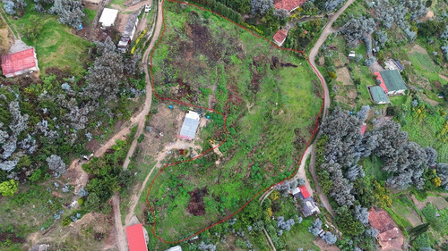 Excelente Terrenos En Venta Galipán, Parque Nacional Él Ávila. Son 2 Terrenos Puede Venderse Juntos Como Se Presenta Acá O Separados Edf