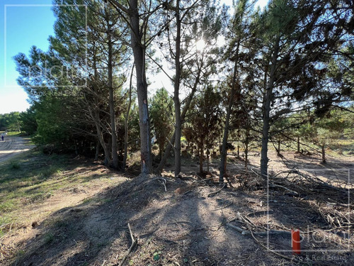 Imagen 3 de 4 de Lote Arbolado En Venta Costa Esmeralda Residencial 1