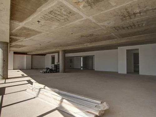 Imagen 12 de 14 de Oficinas En Alquiler | Scalabrini Ortiz 1135, Palermo | Pisos 6º Y 7º - 858 M²