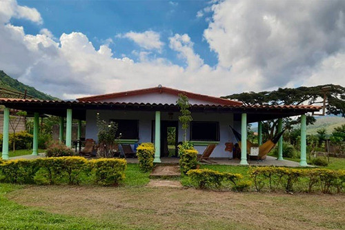 Imagen 1 de 10 de Fd Asein P1454 Vende Hermosa Finca En Chirgua Sector El Leon Municipio Bejuma Del Edo. Carabobo