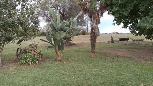 Hermoso Campo De 5,6 Hectareas En La Violeta (partido De Pergamino)
