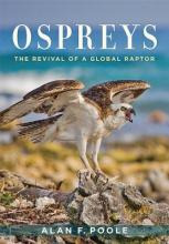 Ospreys : The Revival Of A Global Raptor - Alan F. Poole