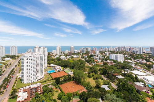 Alquiler Apartamento 1 Dormitorio Punta Del Este
