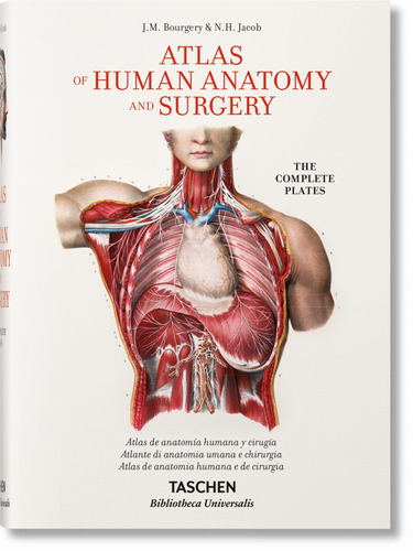 Bourgery. Atlas Anatomía Humana Y Cirugía -  -(t.dura) - *