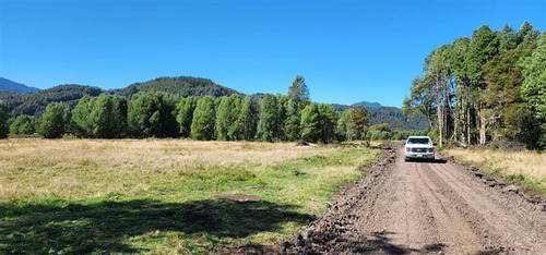 Parcela Extraordinaria Orilla Rio ( 265mts) 1has (1000)