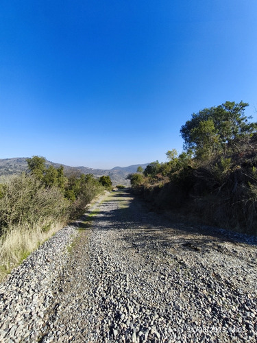 Se Vende Parcela 5000 Mts.