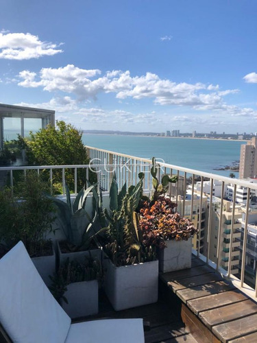 Imagen 2 de 13 de Alquiler Temporada De Penthouse 2 Dormitorios En Península Punta Del Este