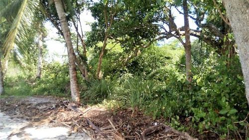 Imagem 11 de 21 de Terreno Beira Mar Em Marau - Te0028