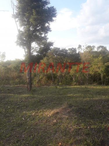 Imagem 1 de 18 de Terreno Em São Vicente - Mairiporã, Sp - 371687