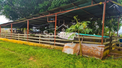 Imagen 12 de 27 de Amplia Finca, Colinas De San Benito - El Vigía