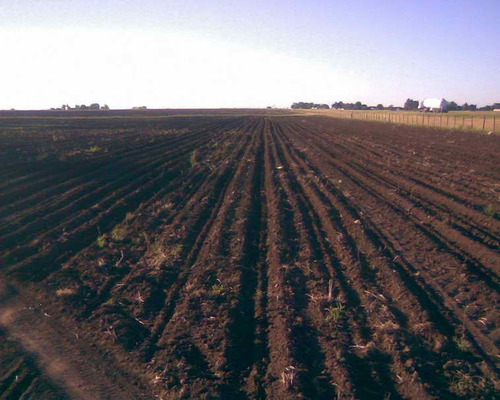 Saavedra, Tornquist, Sierra De La Ventana