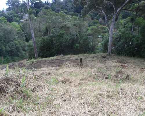 Imagem 2 de 7 de Terreno - 03710 - 33228906