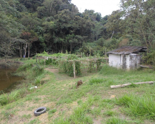 Imagem 3 de 15 de Sítio - 03996 - 33228951