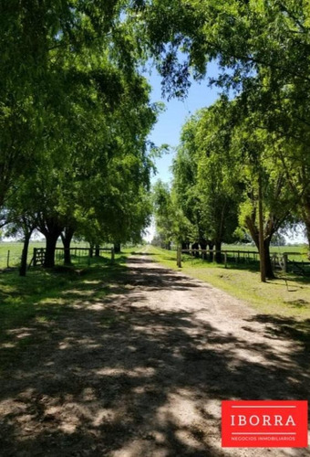 Imagen 7 de 10 de Campo - M.paz Rural