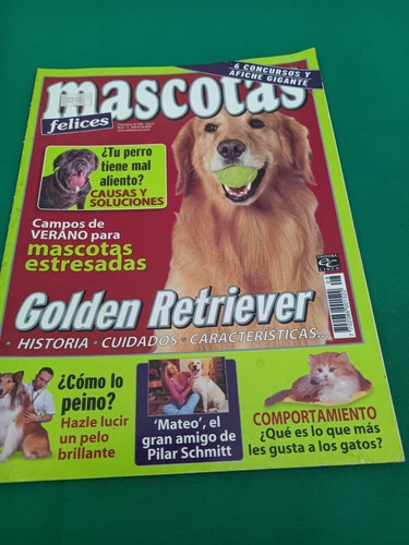 Revista: Golden Retriver Comportamiento Como Lo Peino