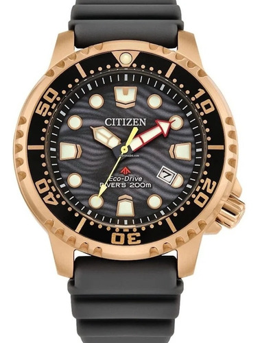 Citizen Promaster Dive Black Gold Dial Bn0163-00h