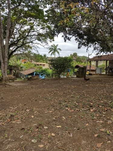 Imagem 26 de 30 de Chácara Para Venda - Figueira Grande, Santa Branca - 10000m² - 2579