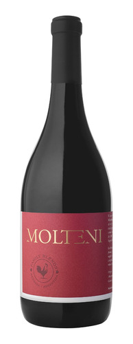 Molteni Family Blend Bordeaux De Martino Wines  X 6 Unidades