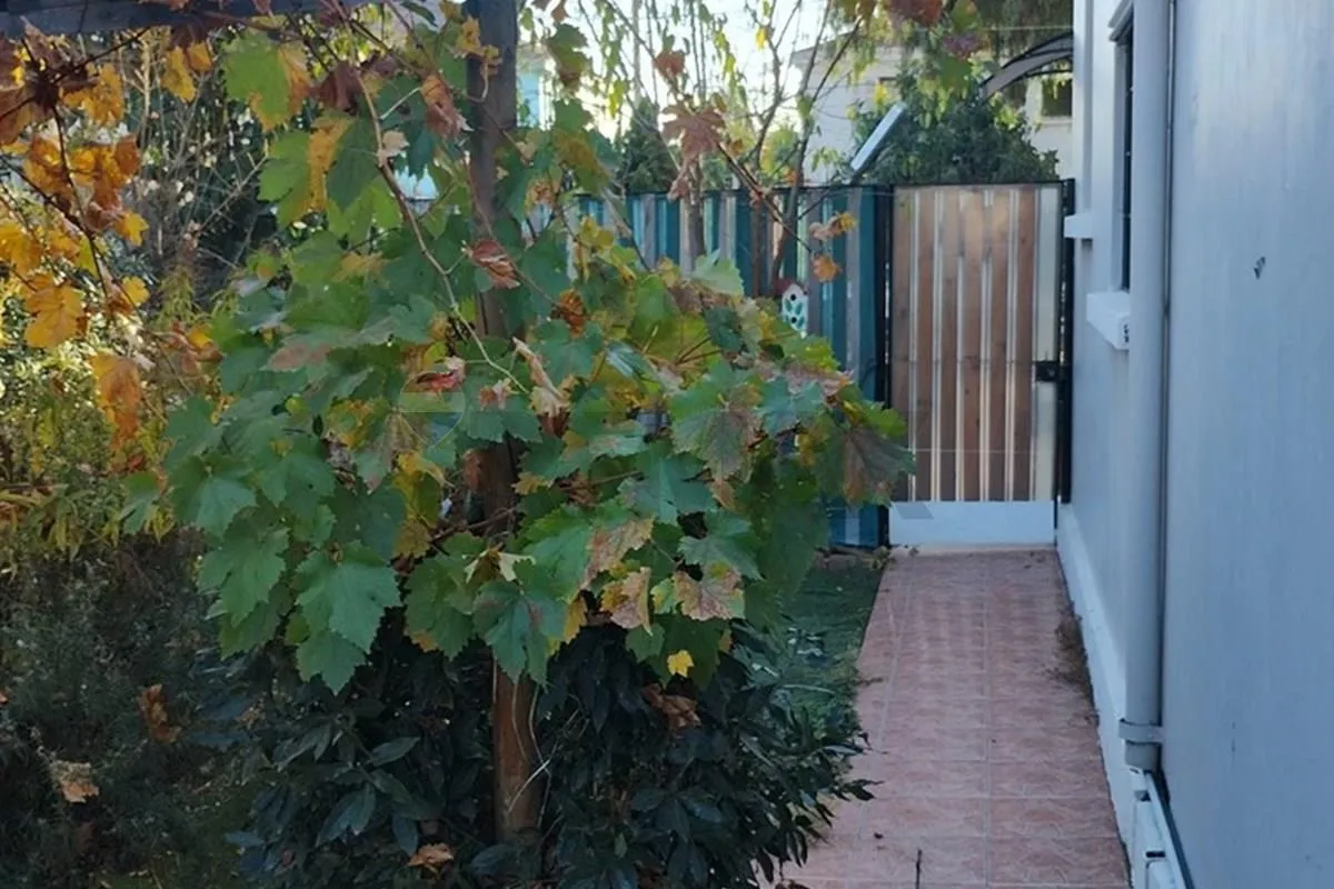 Imagen 4 de 27 de Estupenda Casa