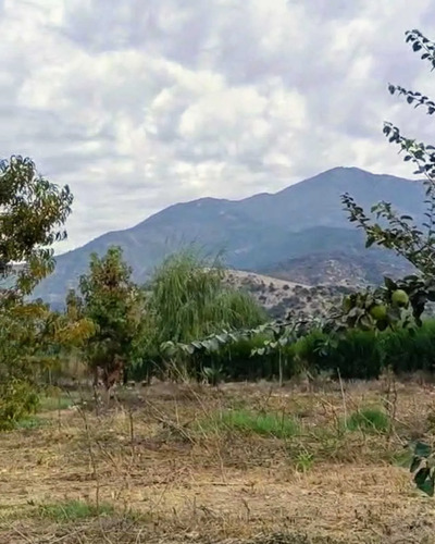 Excelente Terreno 3600 M2 Vi Región (177158)