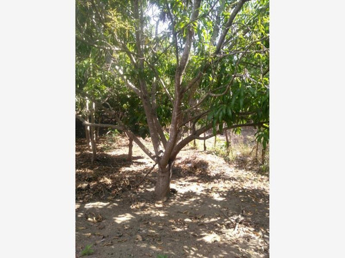 Imagen 4 de 12 de Casa Sola En Venta Zihuatanejo (ixtapa-zihuatanejo)