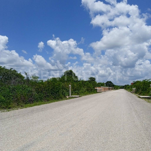 Terreno En Venta, En Chicxulub, Yucatán